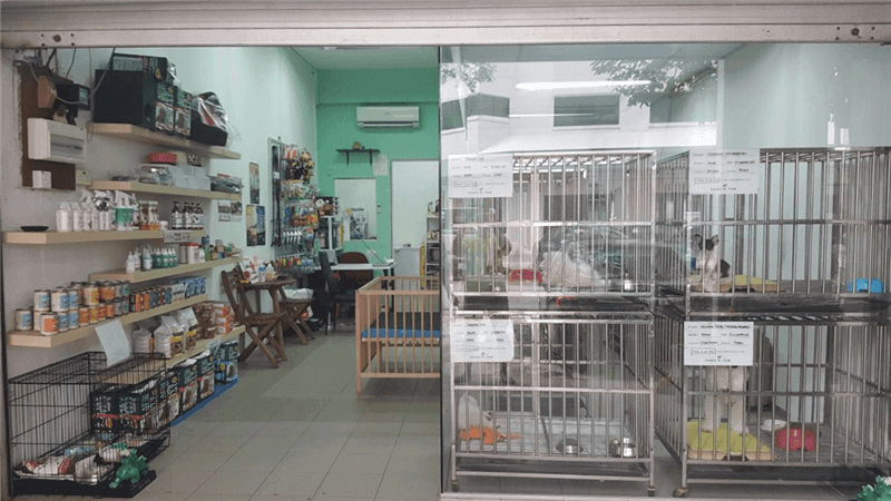 (Expired)Pet Shop For Easy Takeover