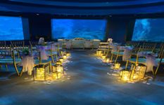 Floral Business for Hotel