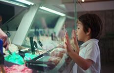 Iconic Bayside Gelato Shop – The Only One of Its Kind