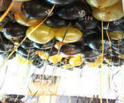 Profitable Balloon Company For Urgent Takeover image 4