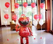 Profitable Balloon Company For Urgent Takeover image 5