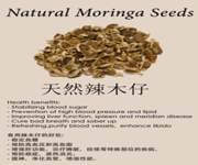 Natural Health Supplement For Takeover image 6