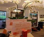 Well Established Beauty Hair & Salon For Take Over. Price Negotiable image 6