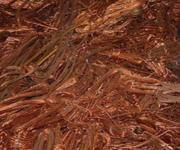 Recycle Scrap Disposal Company for sale image 2