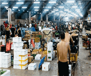 Vegetable Supplier image 2