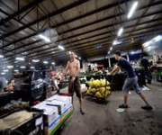 Vegetable Supplier image 3