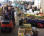 Vegetable Supplier image 4