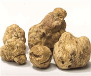 Fresh Truffle And Derivates F&B Distribution image 2