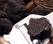 Fresh Truffle And Derivates F&B Distribution image 3