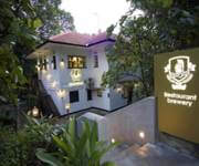 Beerfest Brewery And Restaurant For Sale/Investment/Shareholding image 3