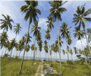 Beachfront Land Close To Singapore For Sale image 3