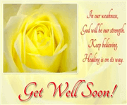 Profitable Florist Business For Sale image 5