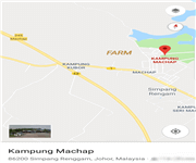 马来西亚 猫山王榴梿园 出售 Mature Musang King Durian Plantation in Machap (Johor, West Malaysia) for Sale image 8