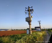 Sale Or Rent Of A Farm - Plant Nursery image 7