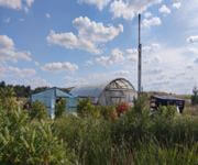 Sale Or Rent Of A Farm - Plant Nursery image 1