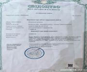 Sale Or Rent Of A Farm - Plant Nursery image 5