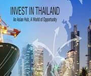 Setting A Thai Co, Accounting, Legal And Other Services