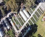 2.5 Acre Property with Residence plus Wholesale and Retail Plant Nursery Business for Sale