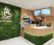 East Meets West Concept Cafe Now Open For Franchise Opportunity image 3