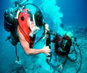 Rare ! Commercial Divers Service Business Seeks Investors / Partners ! image 2