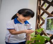 🌟 Profitable Preschool for Franchise 🌟 image 5
