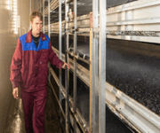 Successful Mushroom Farm For Sale On Baikal (Russia) image 3