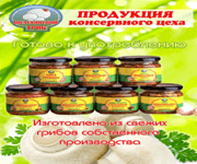Successful Mushroom Farm For Sale On Baikal (Russia) image 6