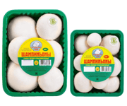 Successful Mushroom Farm For Sale On Baikal (Russia) image 7
