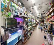 Fish Aquarium Shop Near Bedok Central For Takeover ( Half Shop Space)