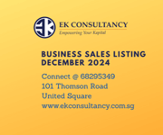 DECEMBER 2024 Upcoming Business Listing * 68295349 *