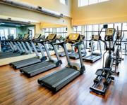 Fully Equipped Boutique Gym For Rent #5319 image 3