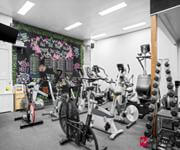 Successful Gym with numerous Allied Health businesses in same building contributing to the rent image 10