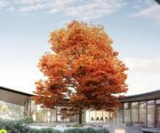 Boutique Manufacturer of Aluminium Windows & Doors image 6