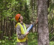 For Sale: Established Tree Service Professionals – Thriving Business With Substantial Equipment