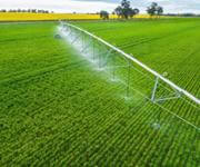 Essential Irrigation and Water Management North Queensland