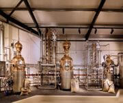 Distillery Starting in Singapore image 2
