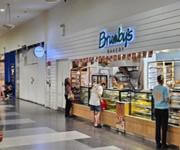 Brumby