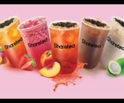Popular Sharetea Bubble Tea Franchise in Busy Shopping Centre, Easy-to-Run