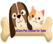 Pet Online Store For Takeover 38K