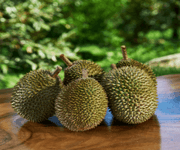 Love Durians? Start Your Own Durian Business (Even If You