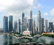 28 Years Real Estate Management Company For Sale
