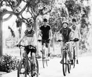 Exciting Opportunity to Own a Thriving Bicycle Store in Cranbourne, Victoria