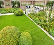 High-Profit Structural Landscaping  Northern NSW