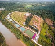 ECO ADVENTURE PARK – OPERATOR / PARTNER OPPORTUNITY (JOHOR) image 13