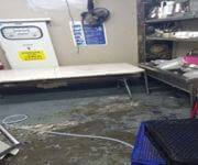 Organic Restaurant For Sale In Good Location image 5