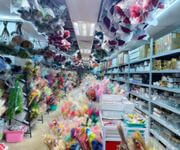 "Profitable Immortal Flower Wholesale Company For Sale image 3