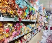 "Profitable Immortal Flower Wholesale Company For Sale image 5