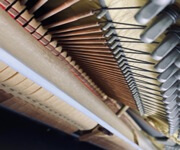 Take Over A Running Piano Business In Singapore image 5