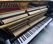 Take Over A Running Piano Business In Singapore image 7