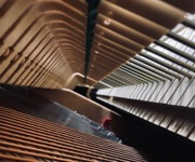 Take Over A Running Piano Business In Singapore image 10